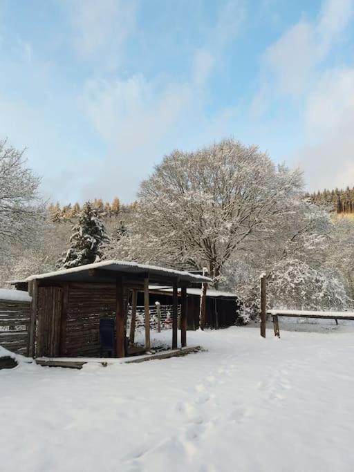 Charmante Maison De Caractere A 2Km De Redu Libin Buitenkant foto