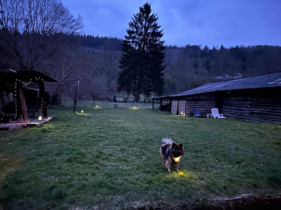 Charmante Maison De Caractere A 2Km De Redu Libin Buitenkant foto