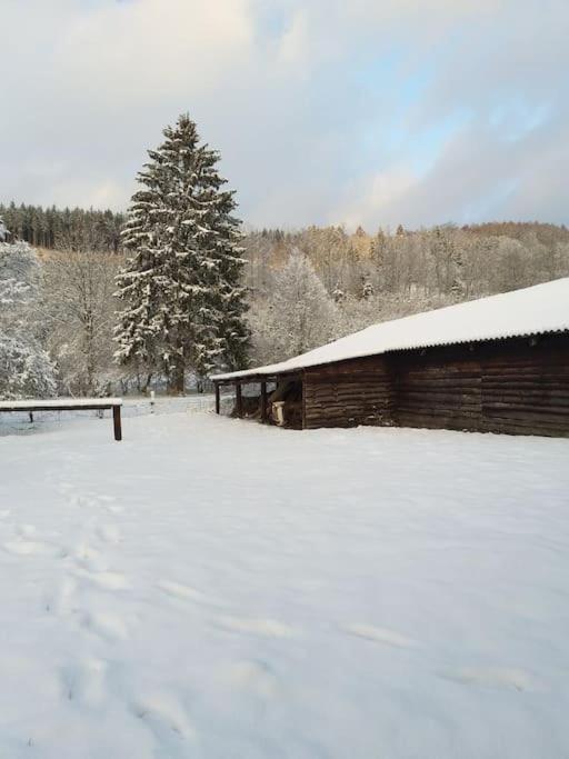 Charmante Maison De Caractere A 2Km De Redu Libin Buitenkant foto
